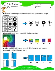Zeka Gelişim Testleri